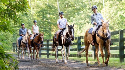 Home, outdoor and equestrian Games and outdoor 